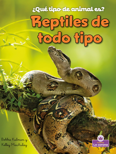 Reptiles de todo tipo (Reptiles of All Kinds) (Spanish Edition) by Kelley MacAulay, Bobbie Kalman, 9781039874992