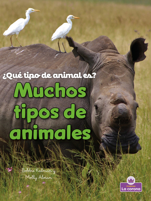 Muchos tipos de animales (Many Kinds of Animals) (Spanish Edition) (Spanish Edition) - 9781039875180 by Molly Aloian, Bobbie  Kalman, 9781039875180