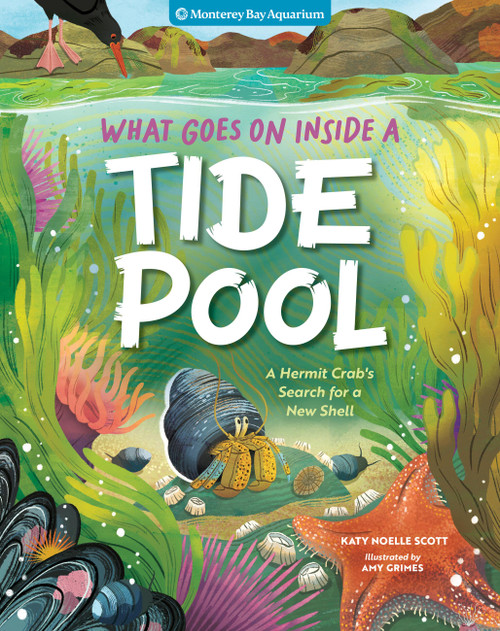What Goes On Inside a Tide Pool (A Hermit Crab's Search for a New Shell) by Monterey Bay Aquarium, Katy Scott, Amy Grimes, 9781635867770