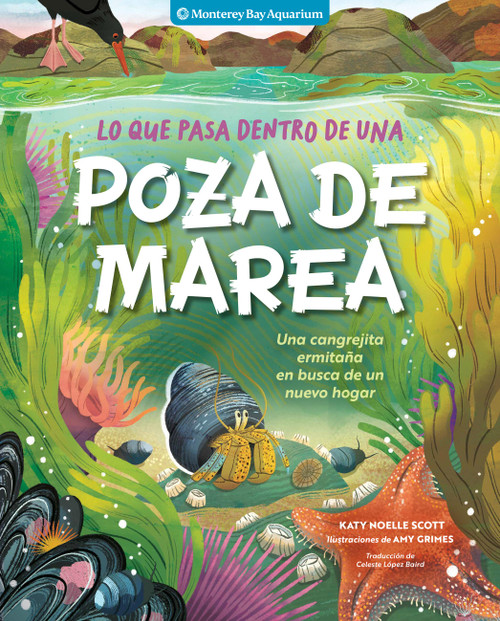 Lo que pasa dentro de una poza de marea (Una cangrejita ermitaña en busca de un nuevo hogar) (Spanish Edition) by Monterey Bay Aquarium, Katy Scott, Celeste López Baird, Amy Grimes, 9798897080083