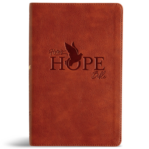 CSB Here's Hope Bible, Burnt Sienna LeatherTouch by CSB Bibles by Holman, 9798384552758