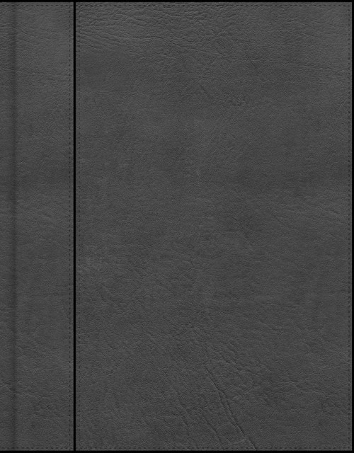 CSB Notetaking Bible, Charcoal LeatherTouch by CSB Bibles by Holman, 9798384552789