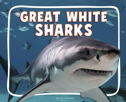 Great White Sharks - 9798875287466 by Lisa J. Amstutz, 9798875287466