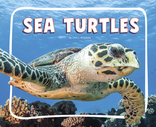 Sea Turtles - 9798875287718 by Lisa J. Amstutz, 9798875287718