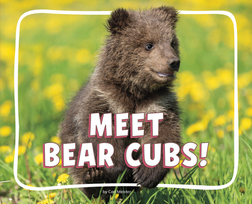 Meet Bear Cubs! - 9798875288159 by Cari Meister, 9798875288159