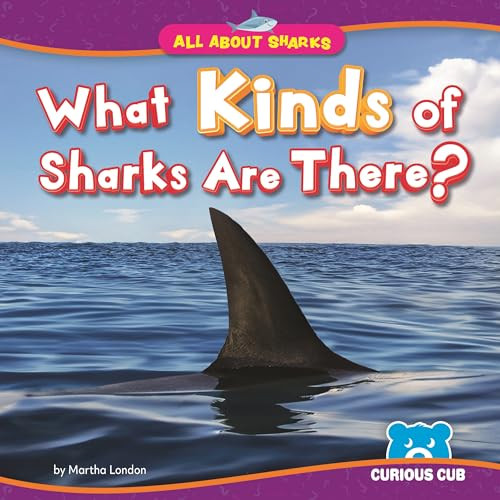 What Kinds of Sharks Are There? by Martha London, N/A, 9798895778180