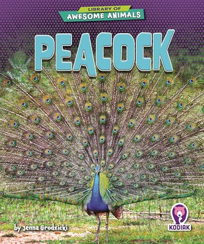 Peacock by Jenna Grodzicki, N/A, 9798895779477