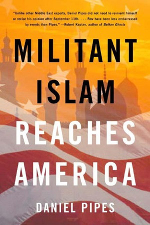 Militant Islam Reaches America by Daniel Pipes, 9780393325317