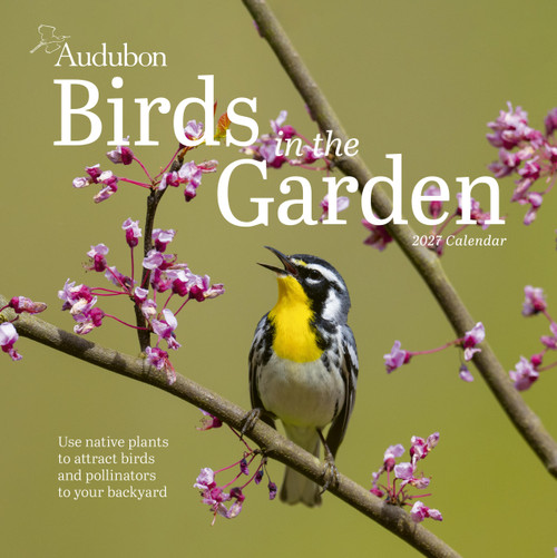 Audubon Birds in the Garden Wall Calendar 2027 (Use Native Plants to Attract Birds and Pollinators to Your Backyard) by National Audubon Society, Workman Calendars, 9781523533343