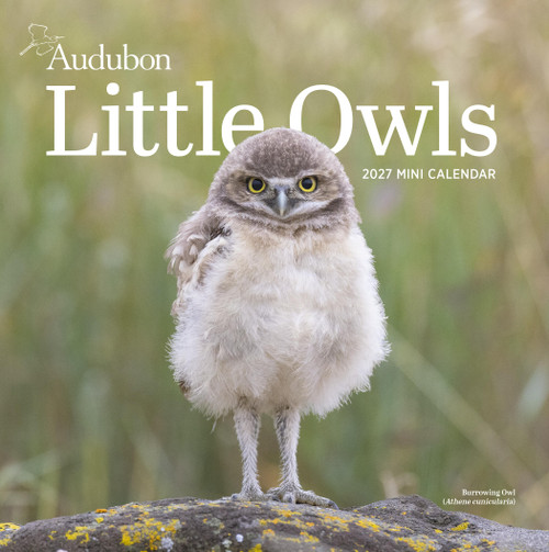 Audubon Little Owls Mini Wall Calendar 2027 (A Year of Fluffy and Round Owls) by National Audubon Society, Workman Calendars, 9781523533398