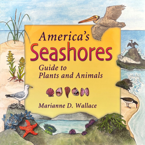 America's Seashores (Guide to Plants and Animals) by Marianne Wallace, 9781555914837