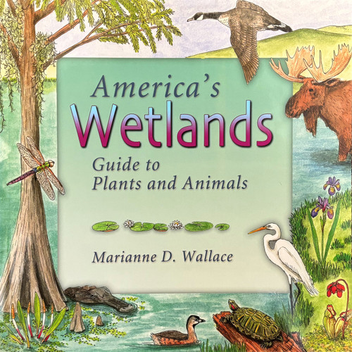 America's Wetlands (Guide to Plants and Animals) by Marianne Wallace, 9781555914844