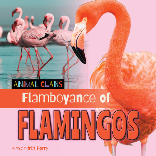 Flamboyance of Flamingos by Alex Berry, 9781668980347