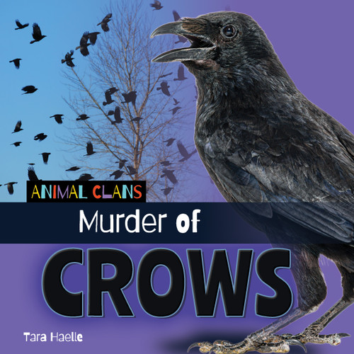 Murder of Crows by Tara Haelle, 9781668980361