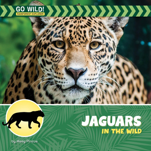 Jaguars in the Wild by Meeg Pincus, 9781668981337