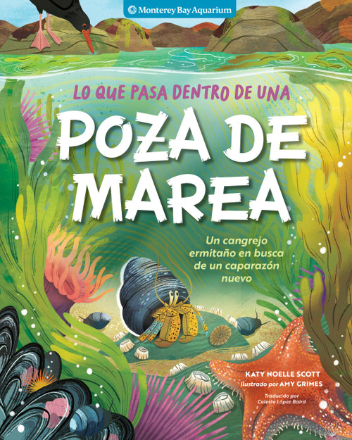 Lo que pasa dentro de una poza de marea (Un cangrejo ermitaño en busca de un caparazón nuevo) (Spanish Edition) by Monterey Bay Aquarium, Katy Scott, Celeste López Baird, Amy Grimes, 9798897080908