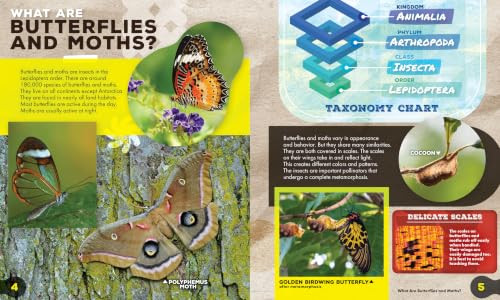 The Butterfly and Moth Family by Golriz Golkar, 9798898801328