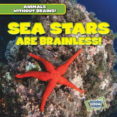 Sea Stars Are Brainless! by Amanda Vink, 9781538245965