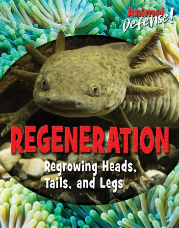 Regeneration (Regrowing Heads, Tails, and Legs) by Avery Elizabeth Hurt, Susan K. Mitchell, 9781978507180