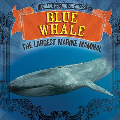 Blue Whale: The Largest Marine Mammal by Caitie McAneney, 9781725308640