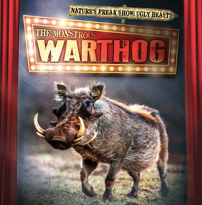 The Monstrous Warthog by Janey Levy, 9781538246160