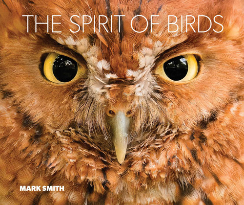 The Spirit of Birds (From World Renowned Nature Photographer Mark Smith) by Mark Smith, 9781423669876