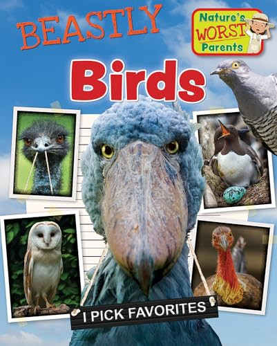 Beastly Birds by Alix Wood, 9781482477634