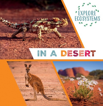 In a Desert by Sarah Ridley, 9781482478655