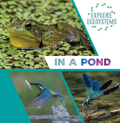 In a Pond by Sarah Ridley, 9781482478679