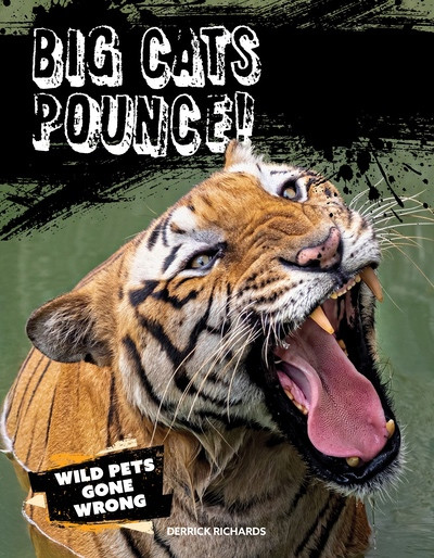 Big Cats Pounce! by Derrick Richards, 9781482479690