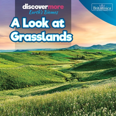 A Look at Grasslands by Dwayne Hicks, 9781641906289
