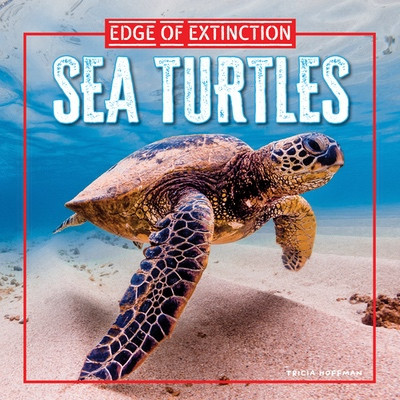 Sea Turtles by Tricia Hoffman, 9781499457896