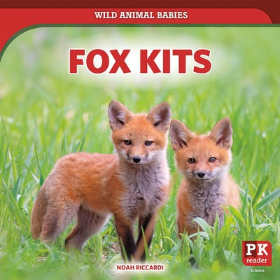 Fox Kits by Noah Riccardi, 9781538295465