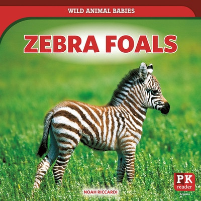 Zebra Foals by Noah Riccardi, 9781538295557