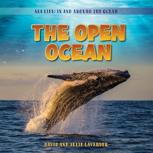 The Open Ocean by David Lavender, Julie Lavender, 9781538296059