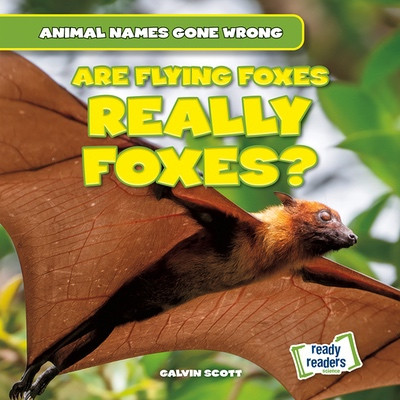 Are Flying Foxes Really Foxes? by Galvin Scott, 9781482481266