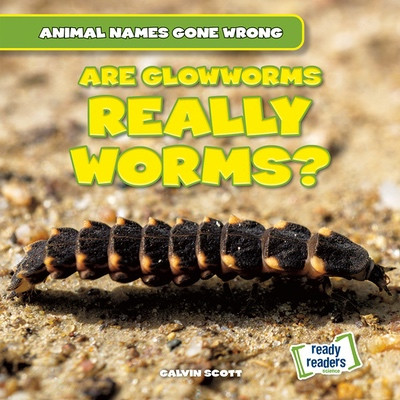 Are Glowworms Really Worms? by Galvin Scott, 9781482481297