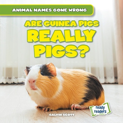 Are Guinea Pigs Really Pigs? by Galvin Scott, 9781482481334