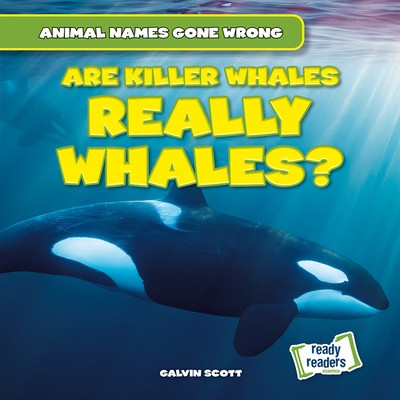 Are Killer Whales Really Whales? by Galvin Scott, 9781482481419