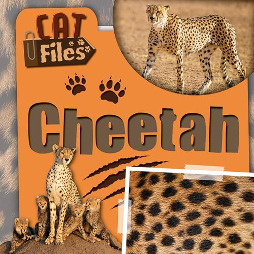 Cheetah by Bethany Latham, 9781534569577