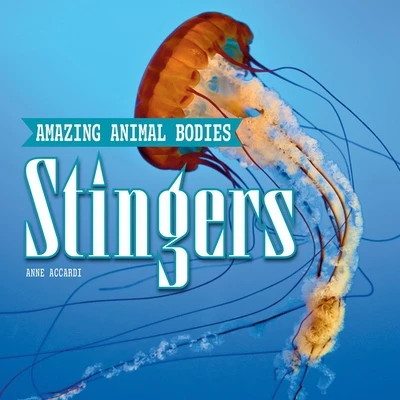 Stingers by Anne Accardi, 9781978579583