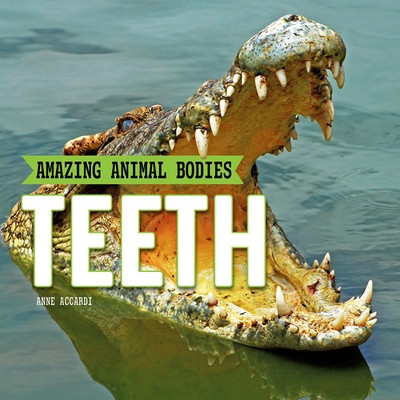 Teeth by Anne Accardi, 9781978579644