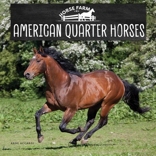 American Quarter Horses by Anne Accardi, 9781978580787