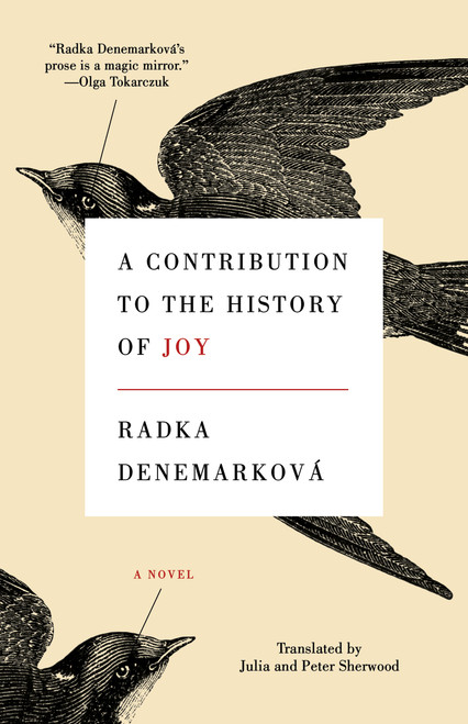 A Contribution to the History of Joy by Radka Denemarková, Julia Sherwood, Peter Sherwood, 9781566897662