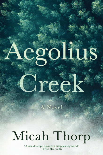Aegolius Creek by Micah Thorp, 9798992040548