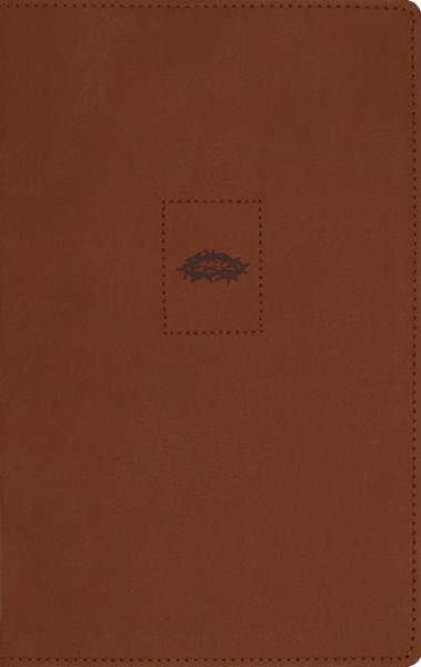 NIV, Heritage Bible, Page Edge Art Edition, Leathersoft, Brown, Red Letter, Comfort Print, 9780310469230