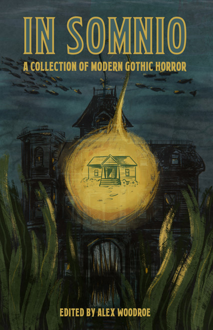 In Somnio by Echo Echo, Antonia Rachel Ward, Helen Whistberry, Julie Hutchings, Lin Darrow, Aster S. Monroe, Mary Rajotte, Daniella Batsheva, Rachel Unger, Alex Woodroe, Barbara A. Barnett, Marisa Bruno, Victoria Nations, A.P. How..., 9781737982395