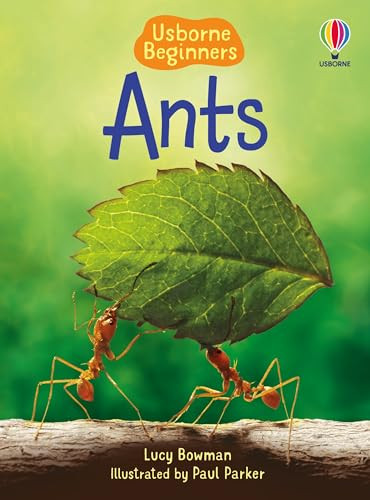 Ants (Usborne Beginners) by Lucy Bowman, Paul Parker, 9781835409763