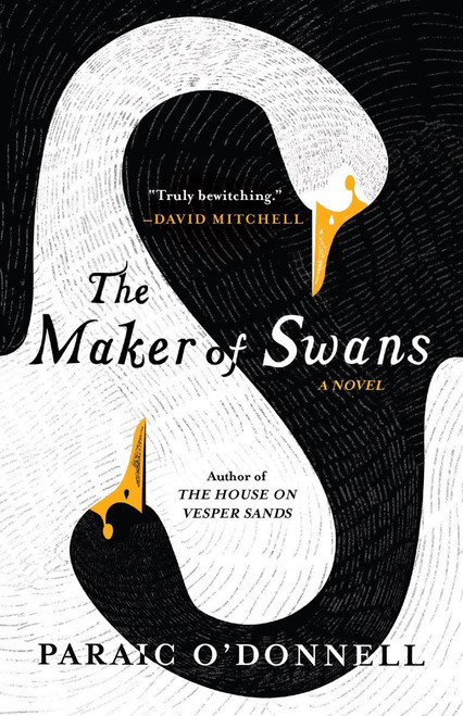 The Maker of Swans by Paraic O'Donnell, 9781953534200