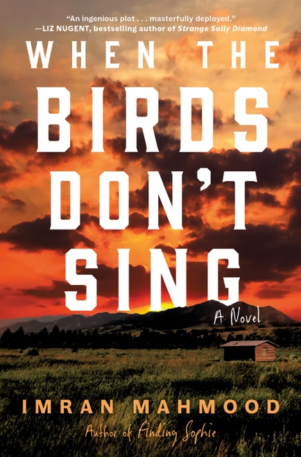 When the Birds Don't Sing (A Novel) by Imran Mahmood, 9780593723616